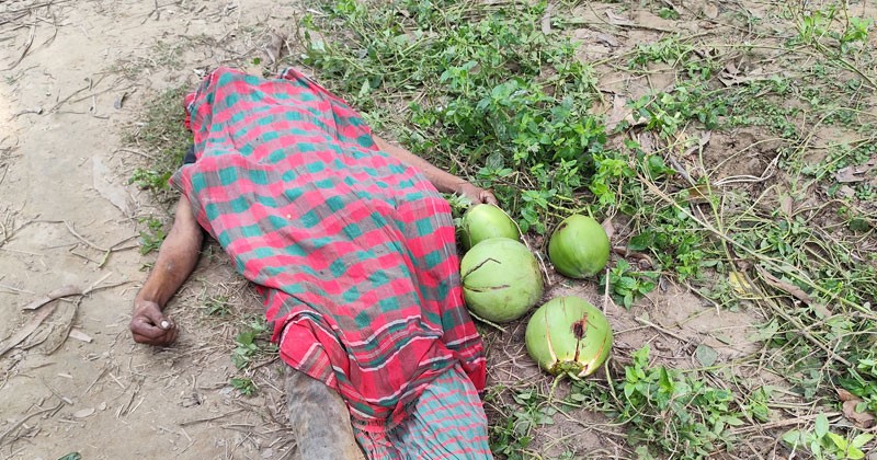 নওগাঁয় ডাব চুরি করতে গিয়ে যুবকের মৃত্যু